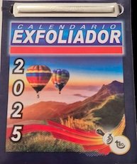 2025